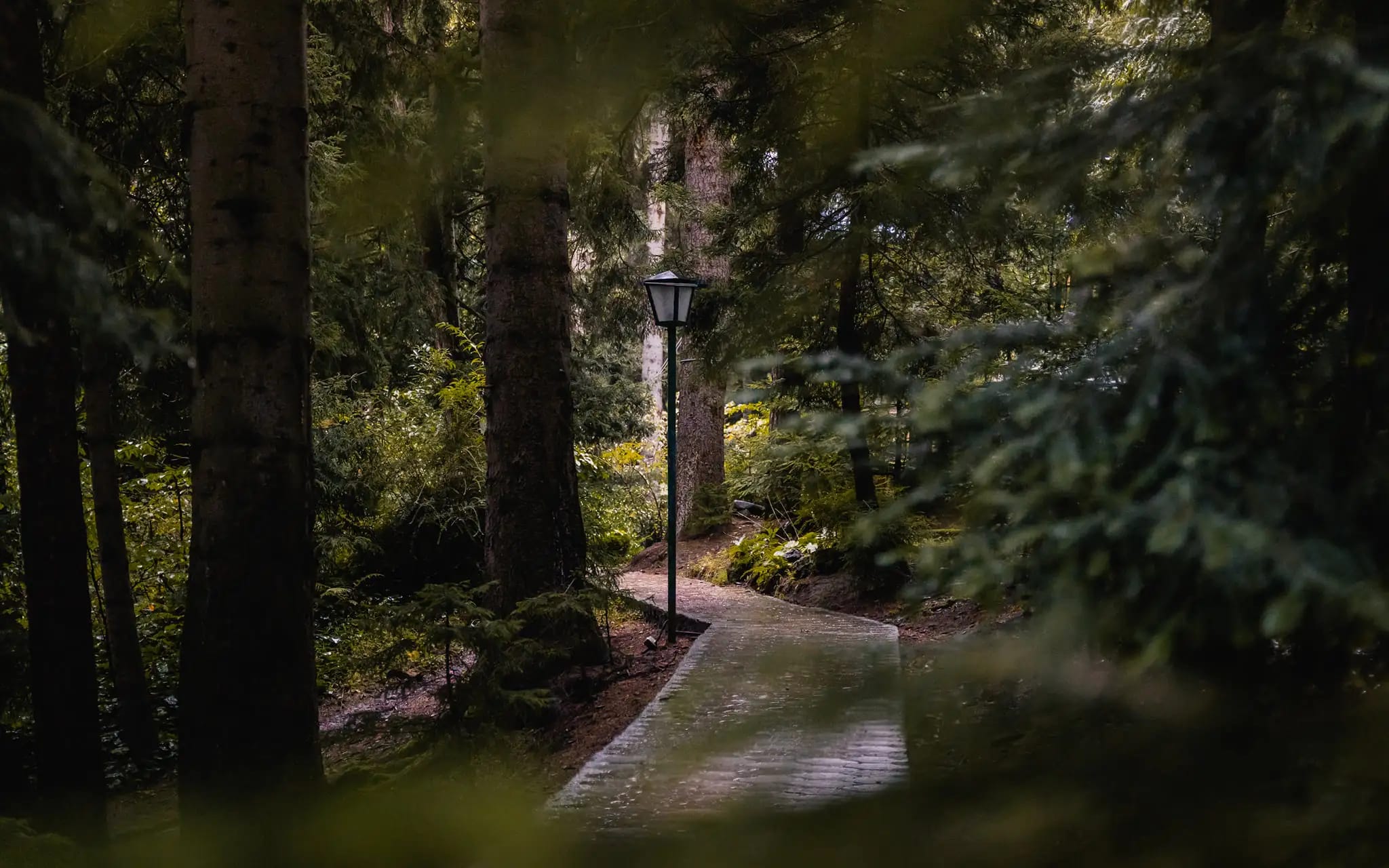 A walk through the grounds
