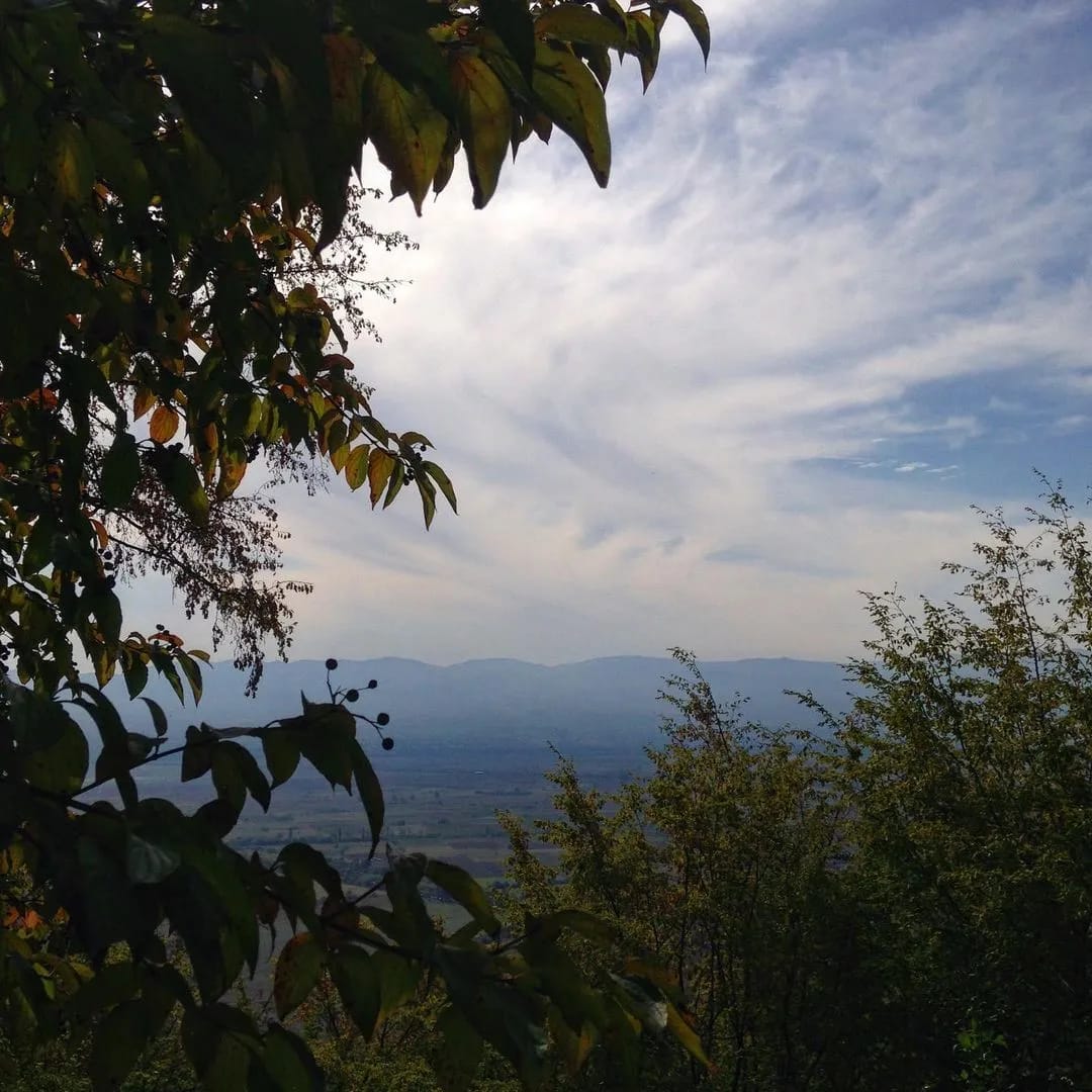 A view through the trees of the mountains