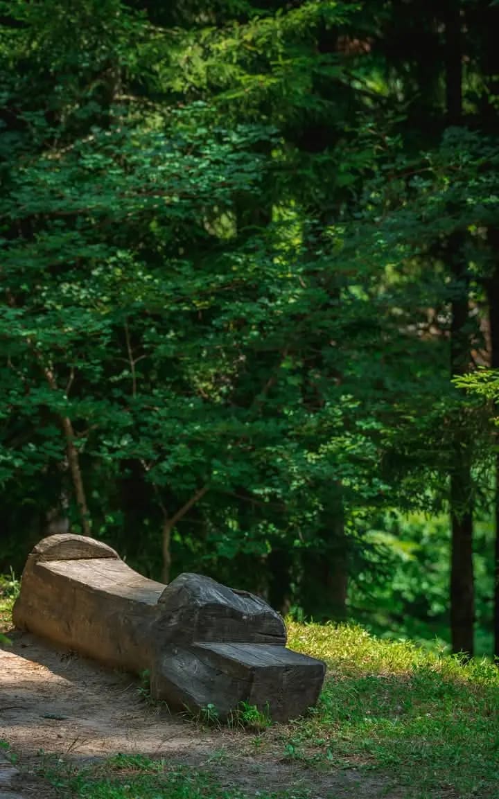 A bench at the resort