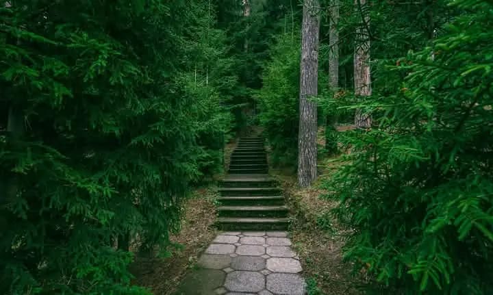 One of the paths at the site