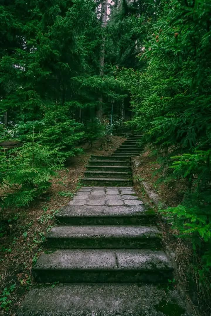 One of the paths at the site