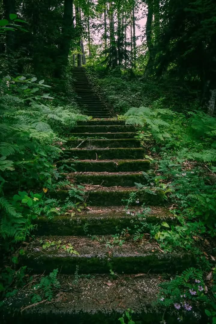 One of the paths at the site