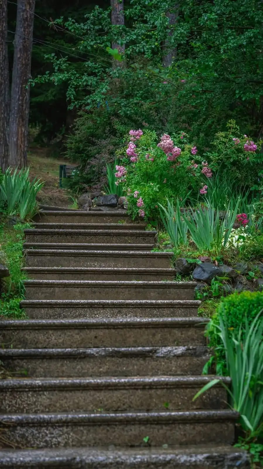One of the paths at the site