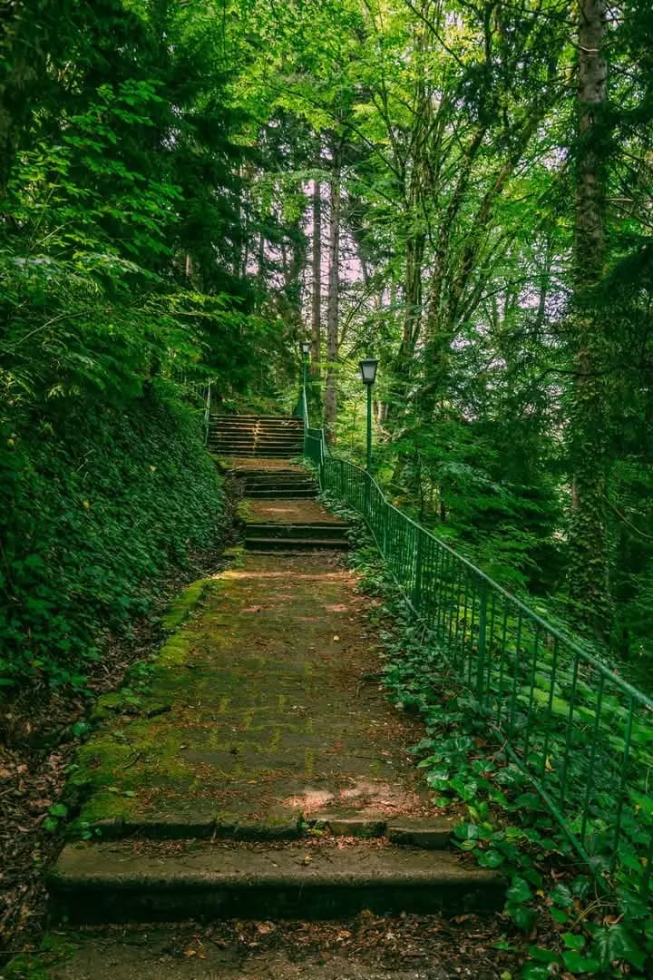 One of the paths at the site
