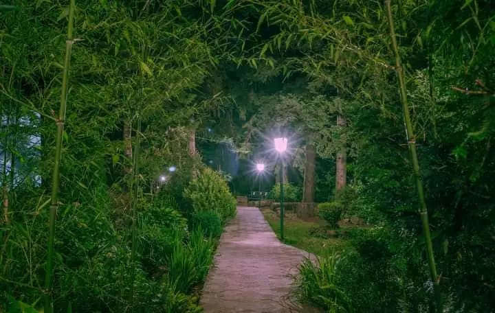 One of the paths at night