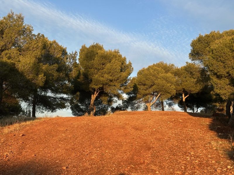 Walks and landscapes