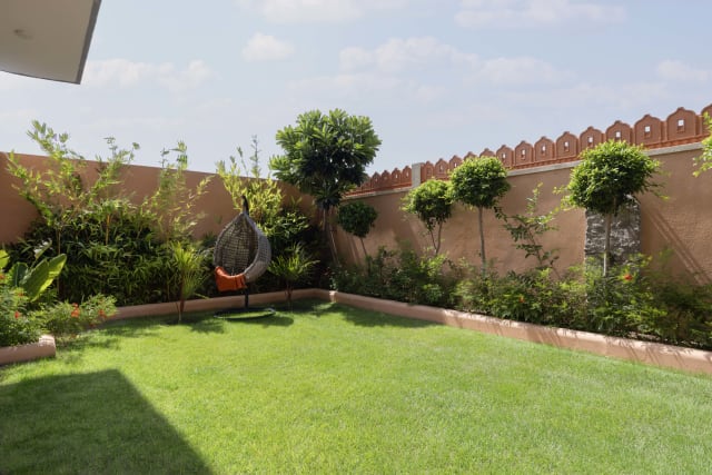 Image 20