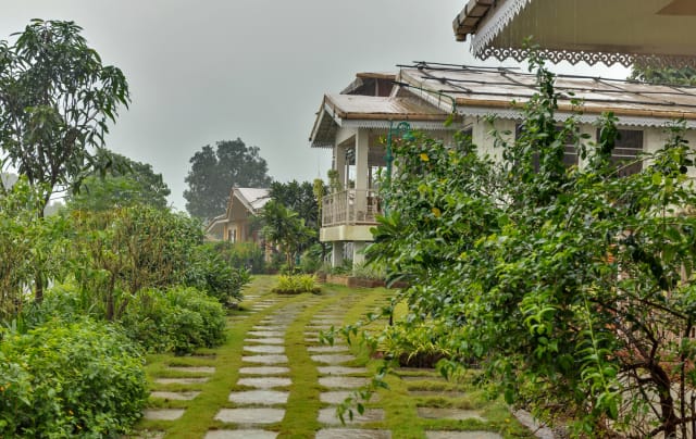 Image 19
