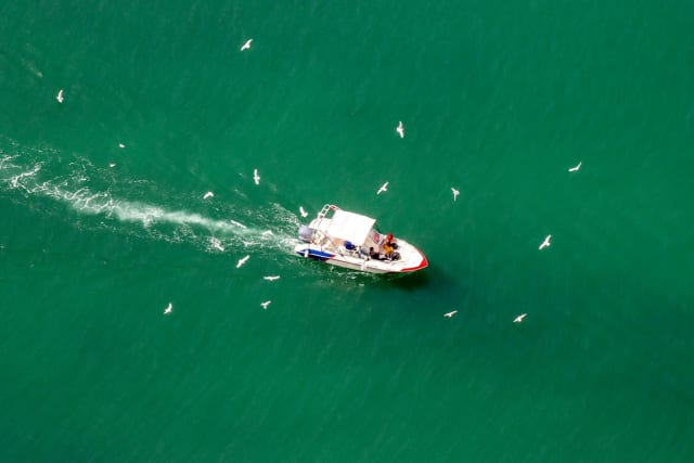 Image 5