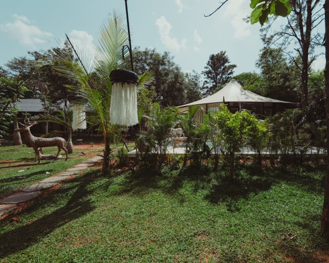 Image 13