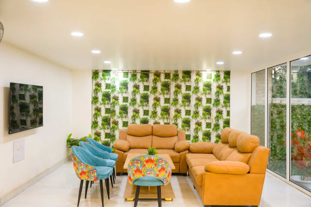 Image 33