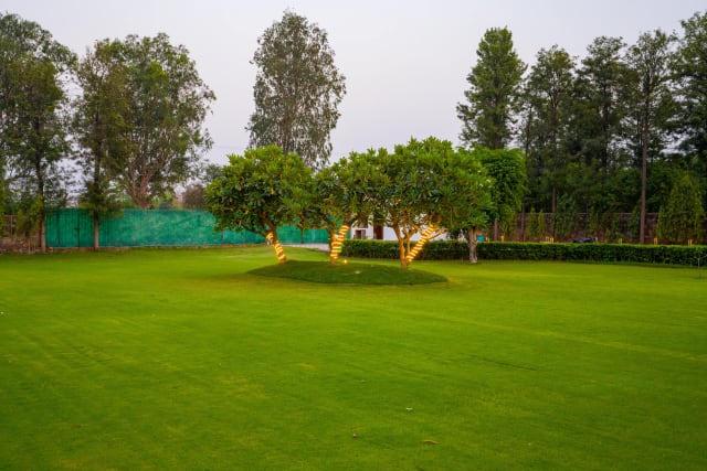 Sanisa Farm — photo 2