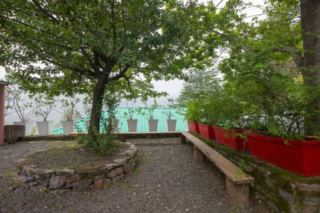 Image 15