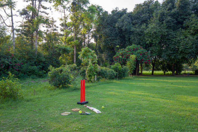 Image 11