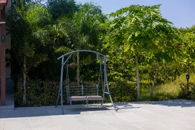 Image 15