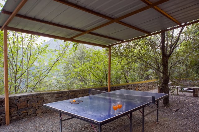 Suro Woodcrest Chalet — photo 9