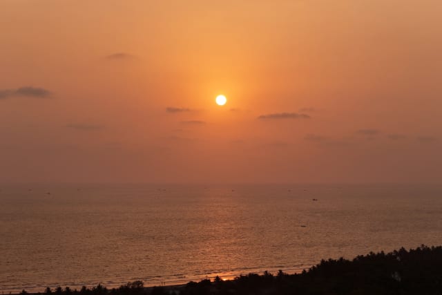 Image 31