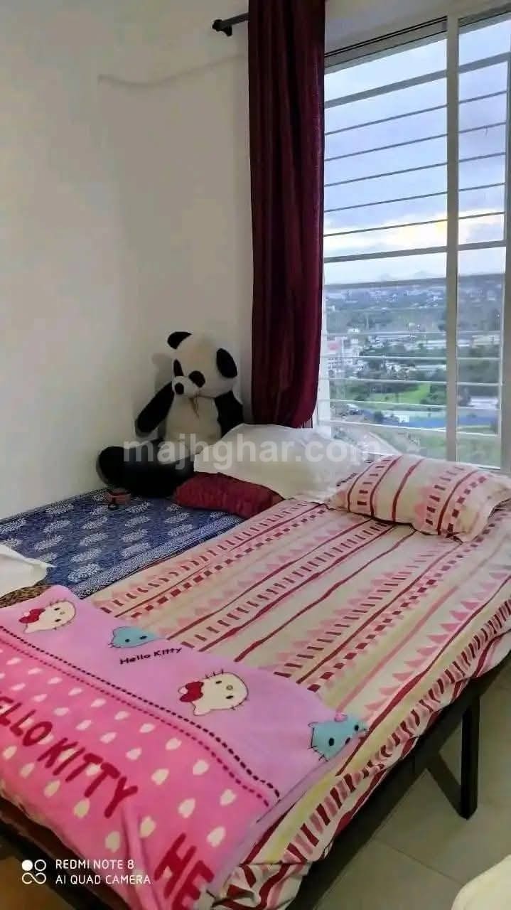 Property View 2