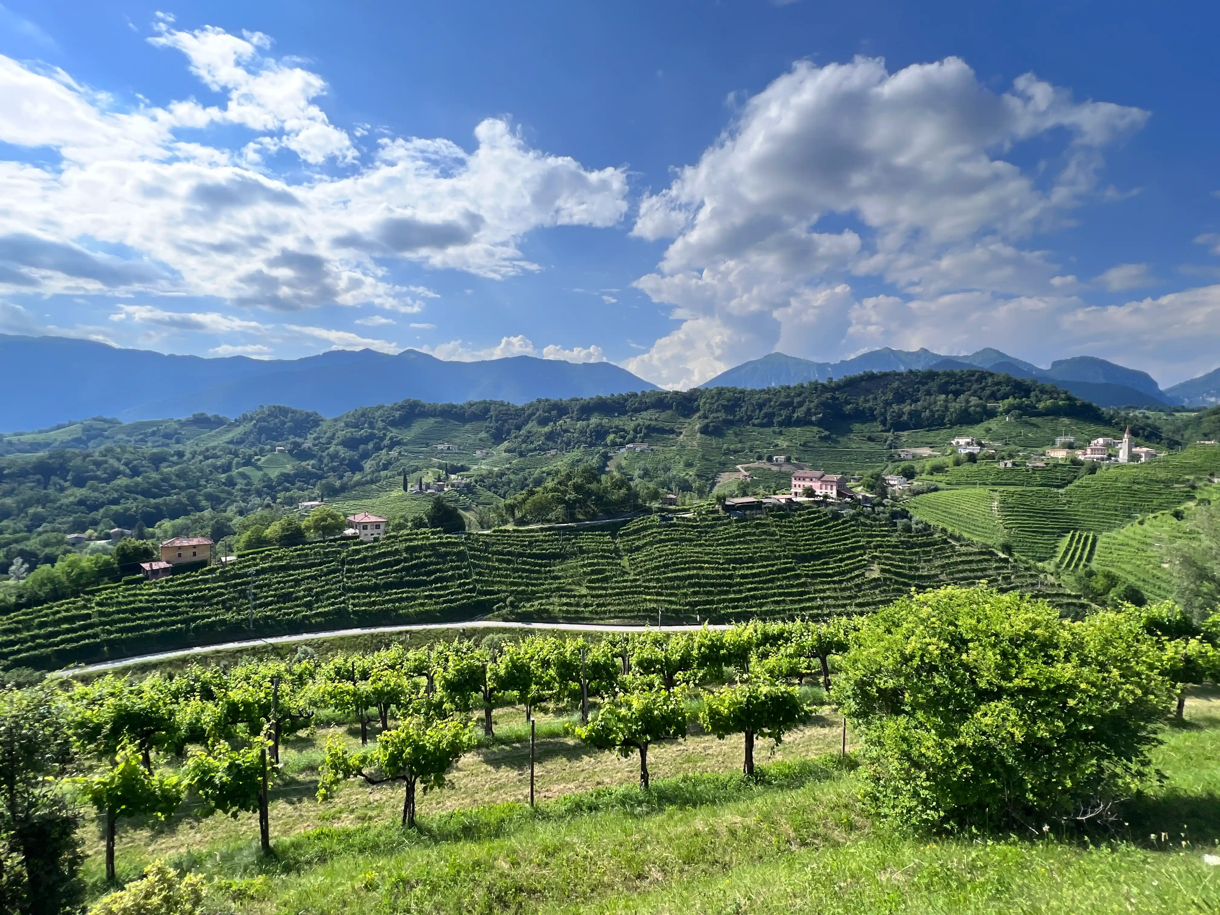 Mura, Corbanese, Vittorio V., Tarzo