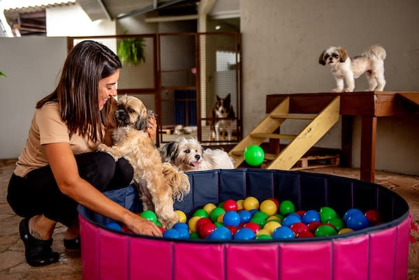 MiAu Pet DayCare e Hospedagem