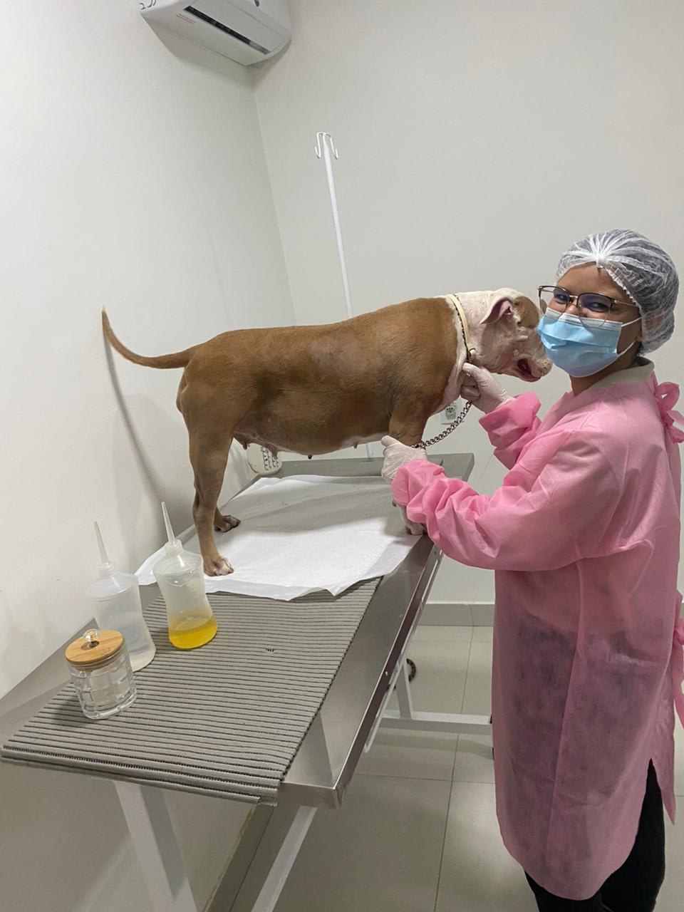 XAMÃ VETERINÁRIA JARDIM BOTÂNICO