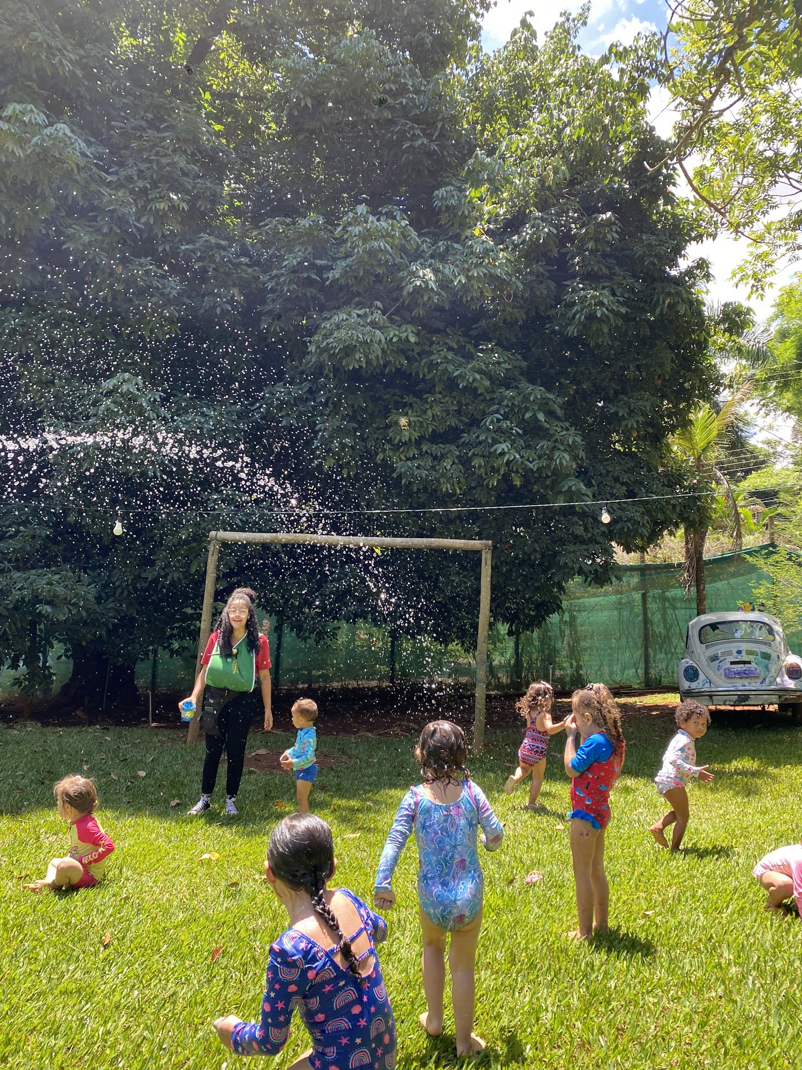 Pine Tree Farm - Estação Ecológica Infantil — foto 2