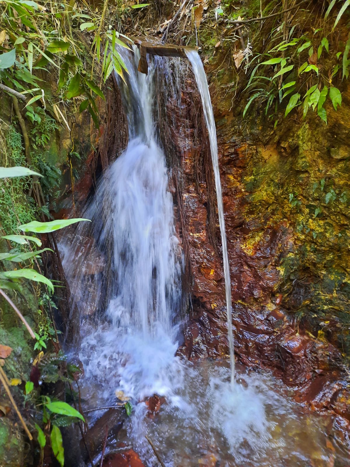 Parque Jardins Mangueiral — foto 2