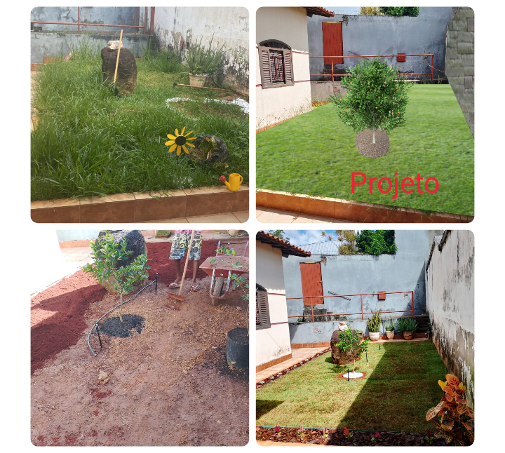 JCE Jardinagem, Dedetização e Paisagismo — foto 3