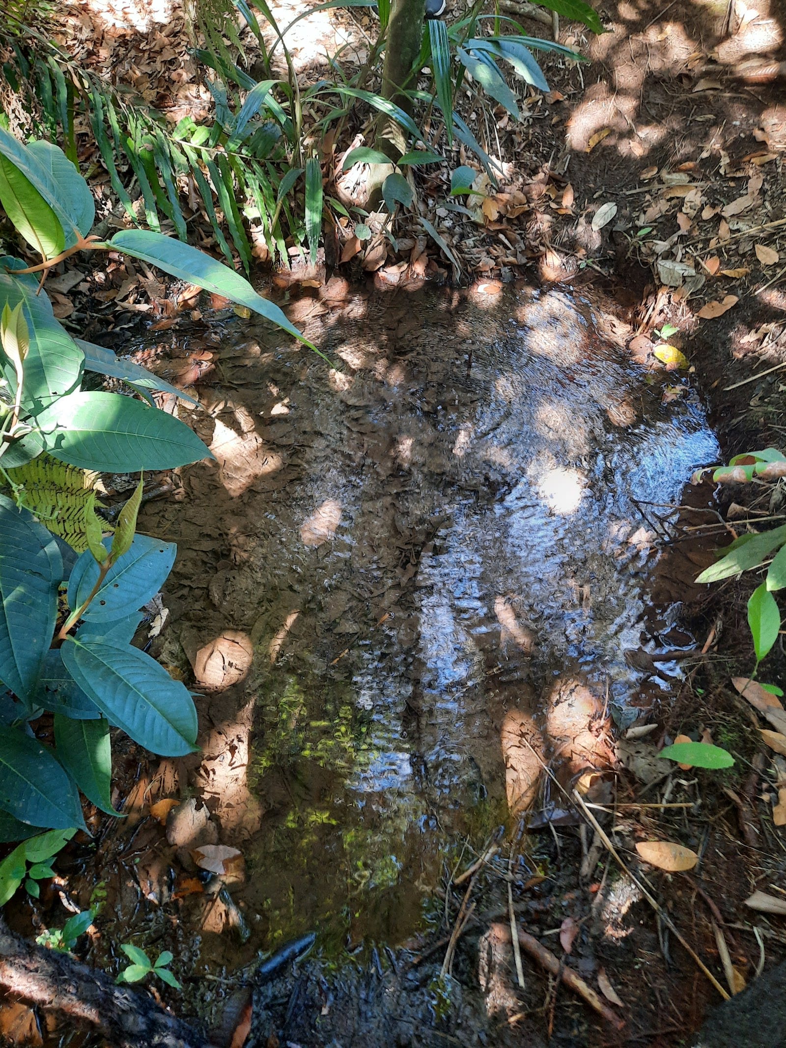 Parque Jardins Mangueiral — foto 3