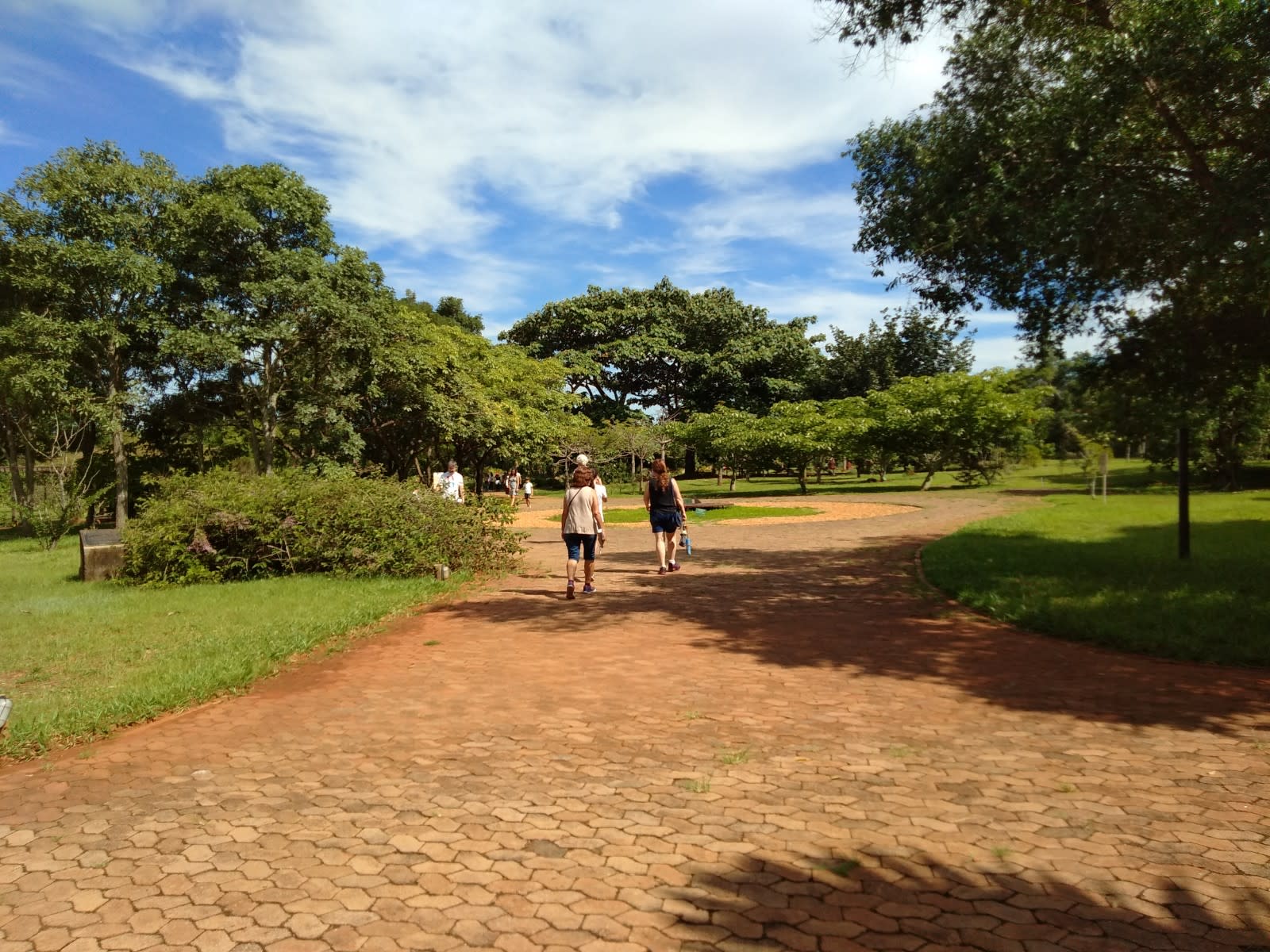 Escola Classe Jardim Botânico — foto 2