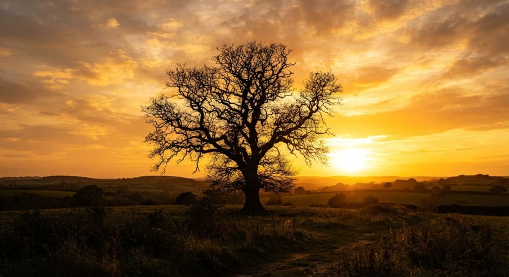 Amanhã, alguém ainda espera ver o sol nascer.