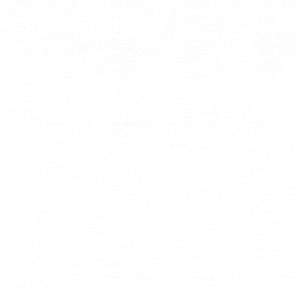 Loading Page