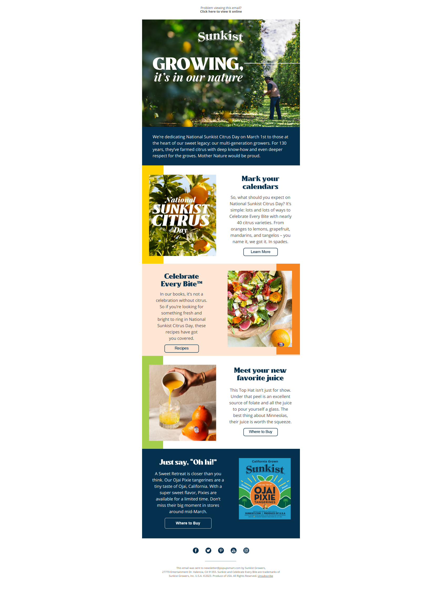 National Sunkist® Citrus Day: Celebrate Every Bite - Sunkist Growers Newsletter