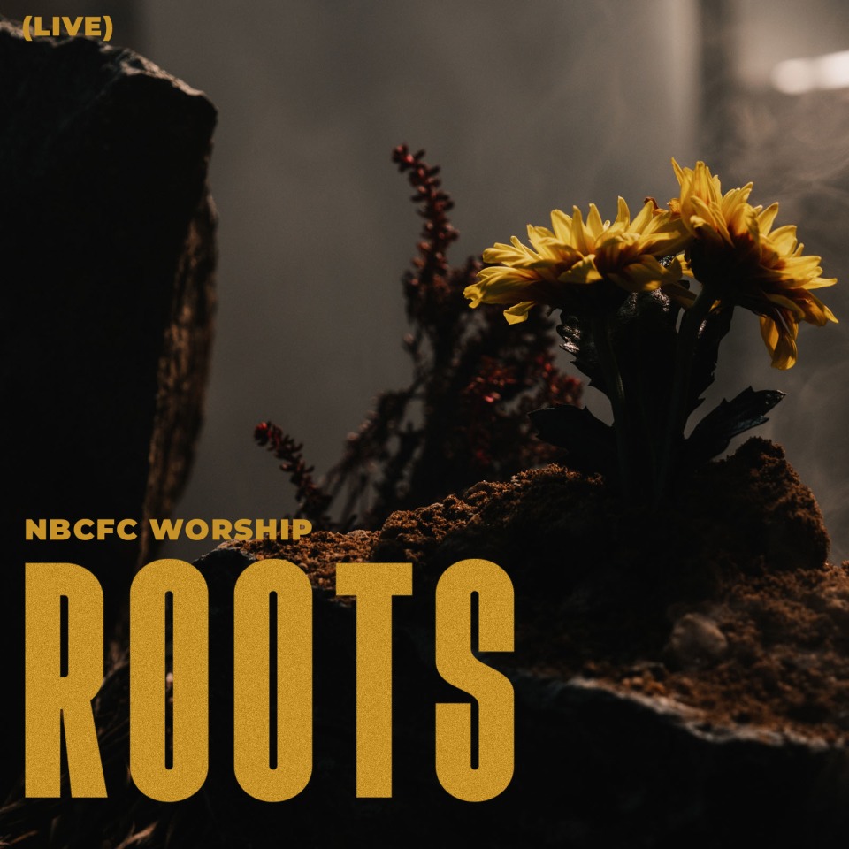 Roots album artwork