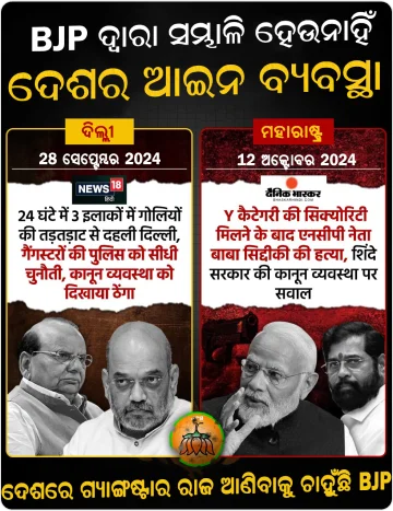 AAP Image 14