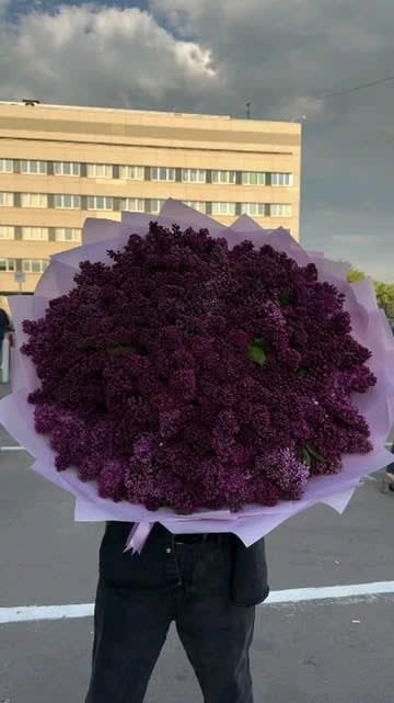 Pantheraflowers Az 2