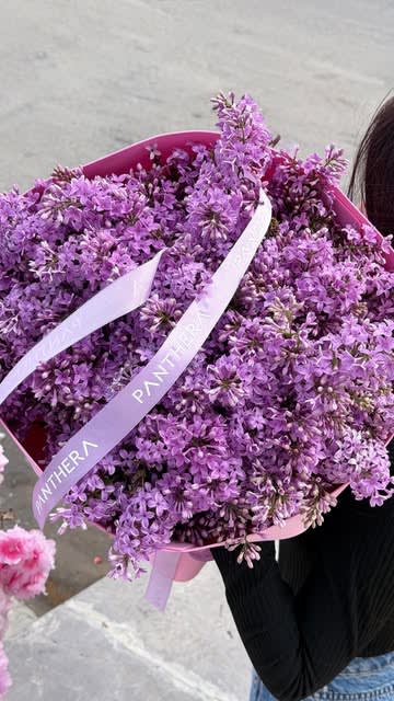 Pantheraflowers Az 4