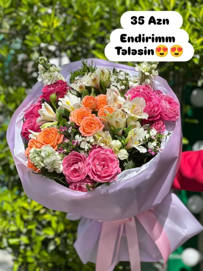 Rose Gardenbaku 3