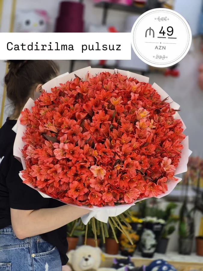 Rose Gardenbaku 6