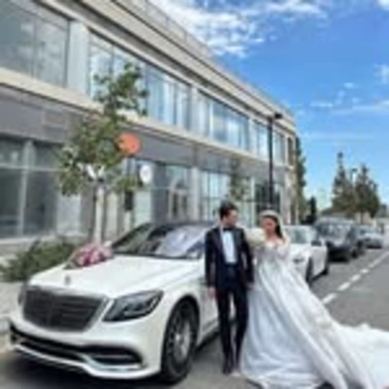 Toy Masini Maybach