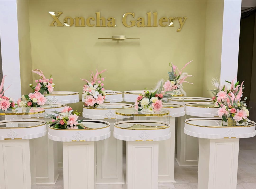 Xoncha Gallery 2