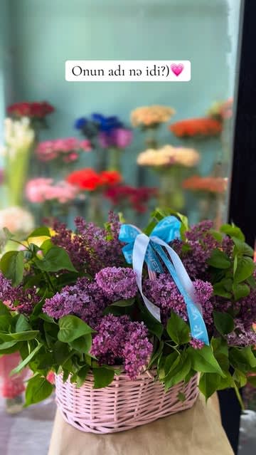 Velizadeflowers 6