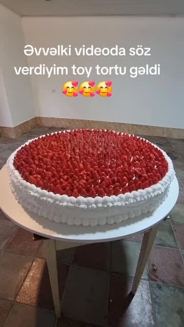 Tortlar 69 12 5