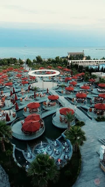 Royalpalmbaku 2