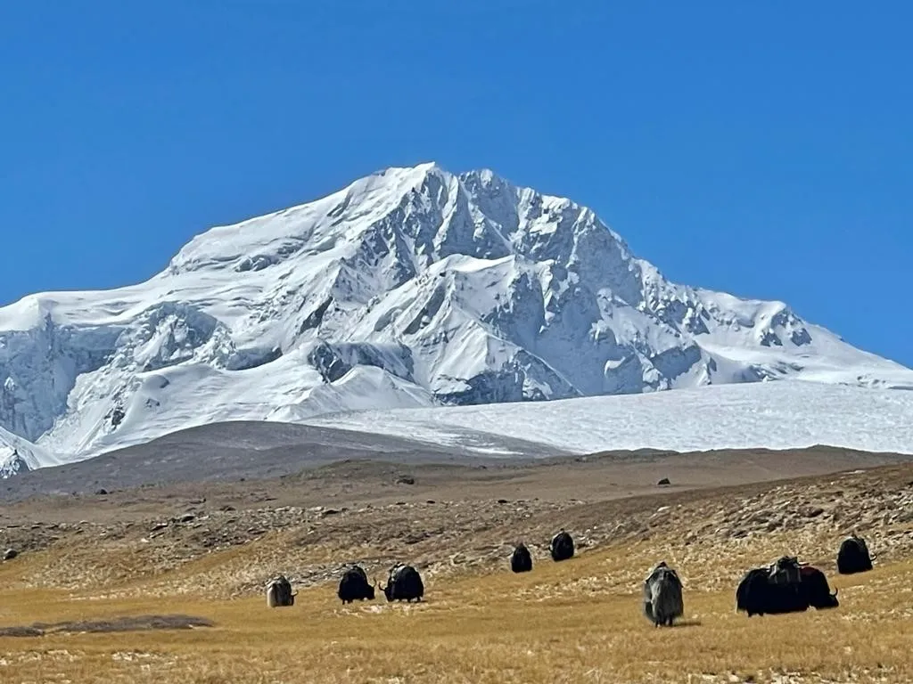 Shishapangma Expedition