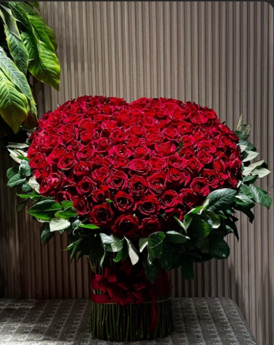 صورة الفئة