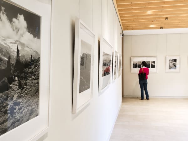 The Robert Cripps Gallery