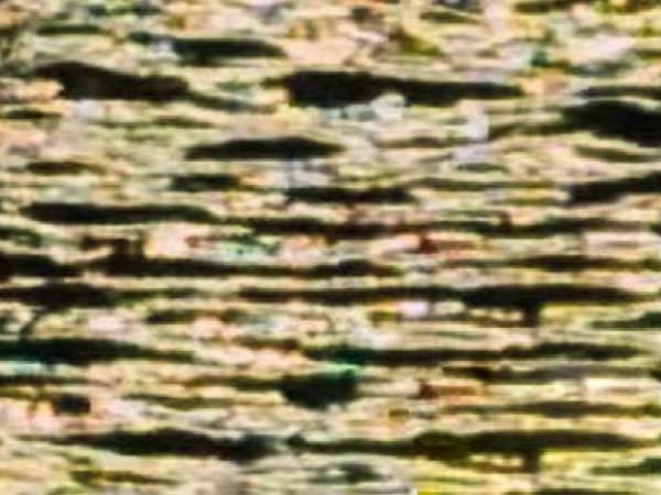 Artists in Conversation: Cross Currents