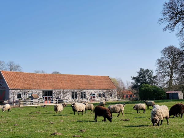 Wyken Vineyards