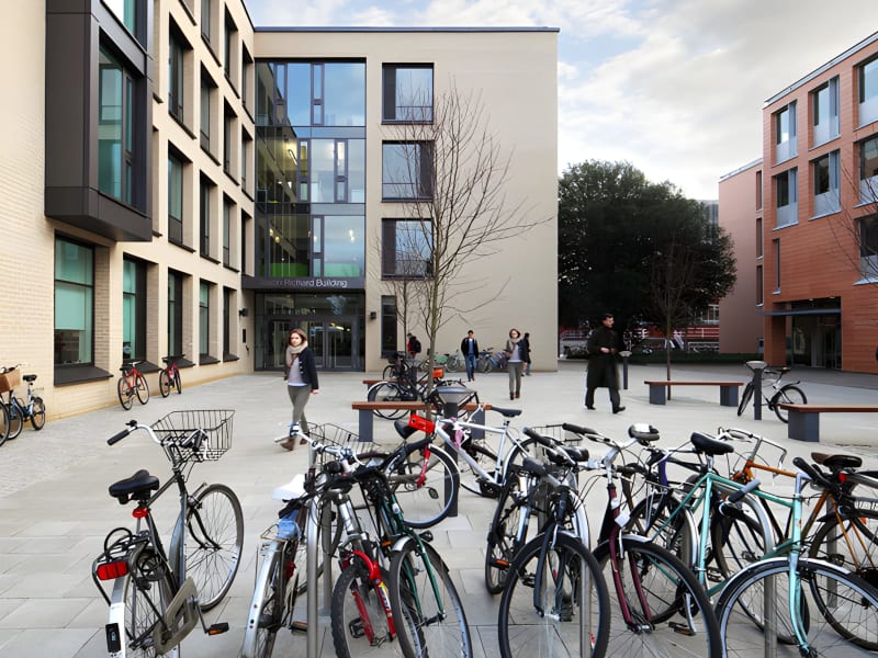 Art at the Alison Richard Building